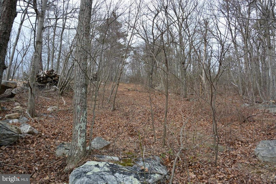 49.61 ACRES LAND ROCKWOOD TRAIL, WINCHESTER VA