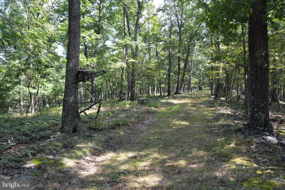 30.78 WOODED ACRES IN CROSS JUNCTION, VA