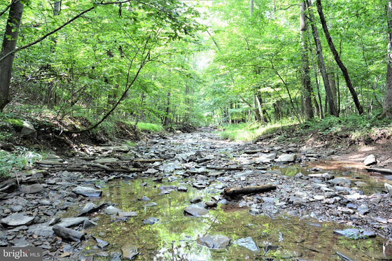 15.90 ACRES LAND WITH LITTLE MOUNTAIN CREEK FRONTAGE IN FREDERICK COUNTY, VA