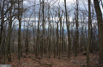 49.61 ACRES LAND ROCKWOOD TRAIL, WINCHESTER VA-1