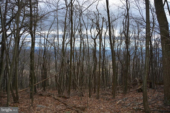 49.61 ACRES LAND ROCKWOOD TRAIL, WINCHESTER VA