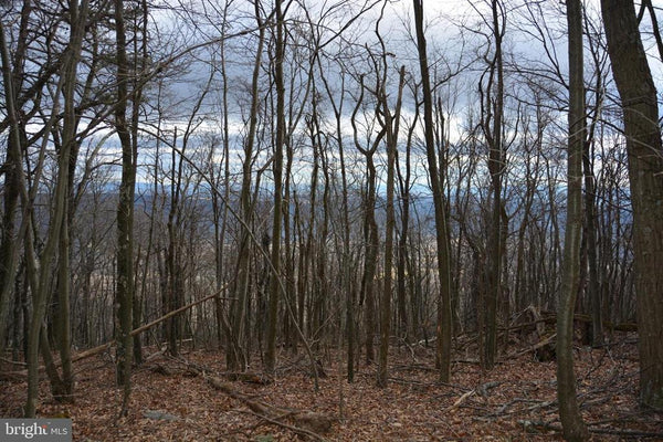 49.61 ACRES LAND ROCKWOOD TRAIL, WINCHESTER VA