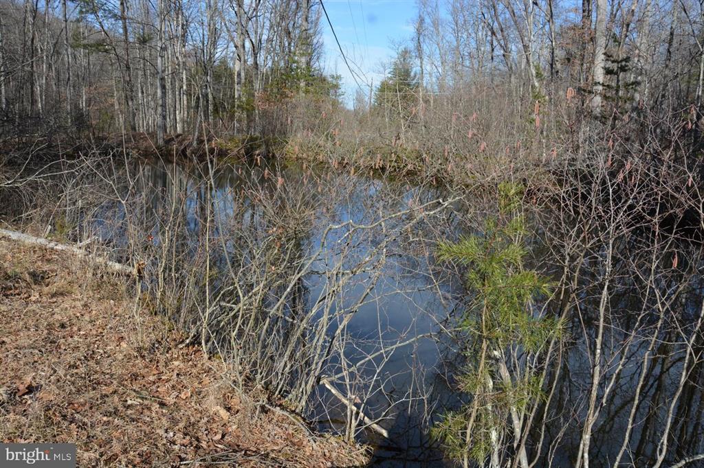 BACK CREEK RD, #3800, GORE VA 38.76 ACRES LAND