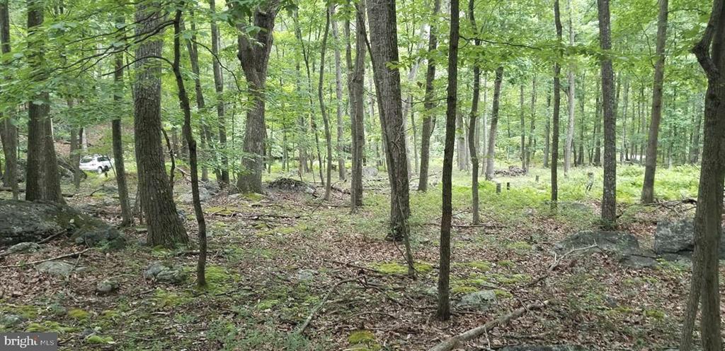 BURGER DRIVE LOT#14, CAPON BRIDGE WV 5 ACRES LAND