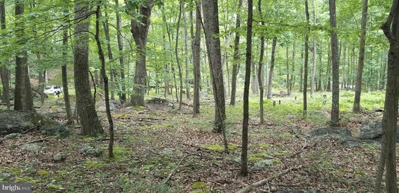 BURGER DRIVE LOT#14, CAPON BRIDGE WV 5 ACRES LAND