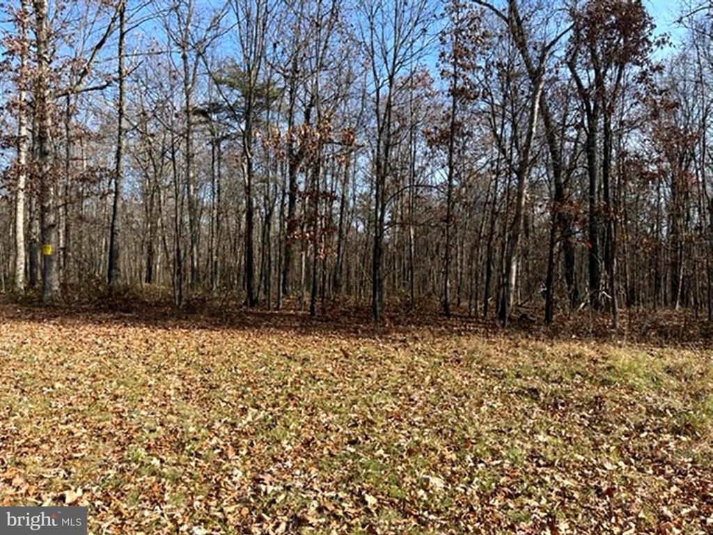 N TIMBER RIDGE ROAD, #300, CROSS JUNCTION VA 15.84 ACRES LAND