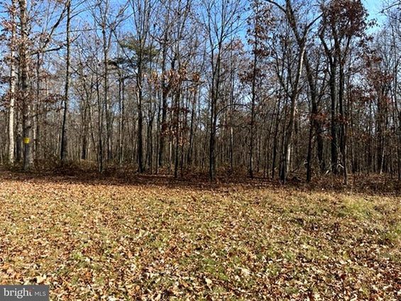 N TIMBER RIDGE ROAD, #300, CROSS JUNCTION VA 15.84 ACRES LAND