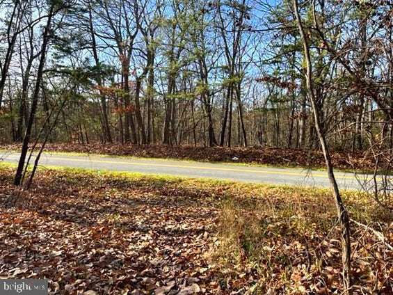 N. TIMBER RIDGE ROAD, #900 BLOCK, CROSS JUNCTION VA 53.50 ACRES LAND