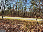 N. TIMBER RIDGE ROAD, #900 BLOCK, CROSS JUNCTION VA 53.50 ACRES LAND