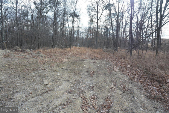 5.33 ACRES WOODED LAND IN CROSS JUNCTION, VA