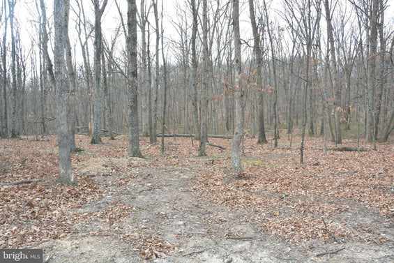 7.11 ACRES WOODED LAND IN CROSS JUNCTION, VA
