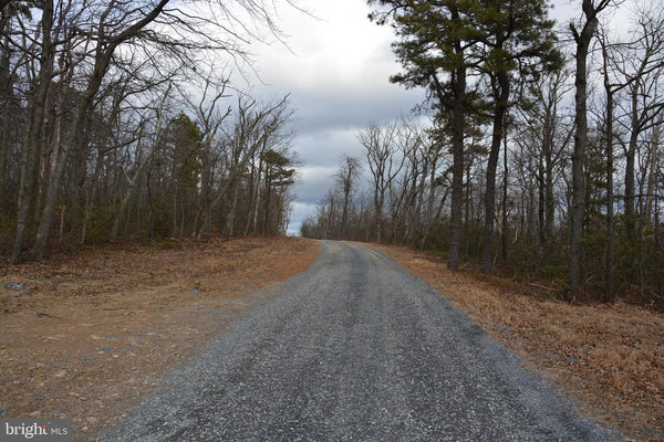 49.61 ACRES LAND ROCKWOOD TRAIL, WINCHESTER VA