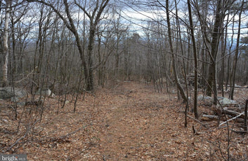 49.61 ACRES LAND ROCKWOOD TRAIL, WINCHESTER VA-3