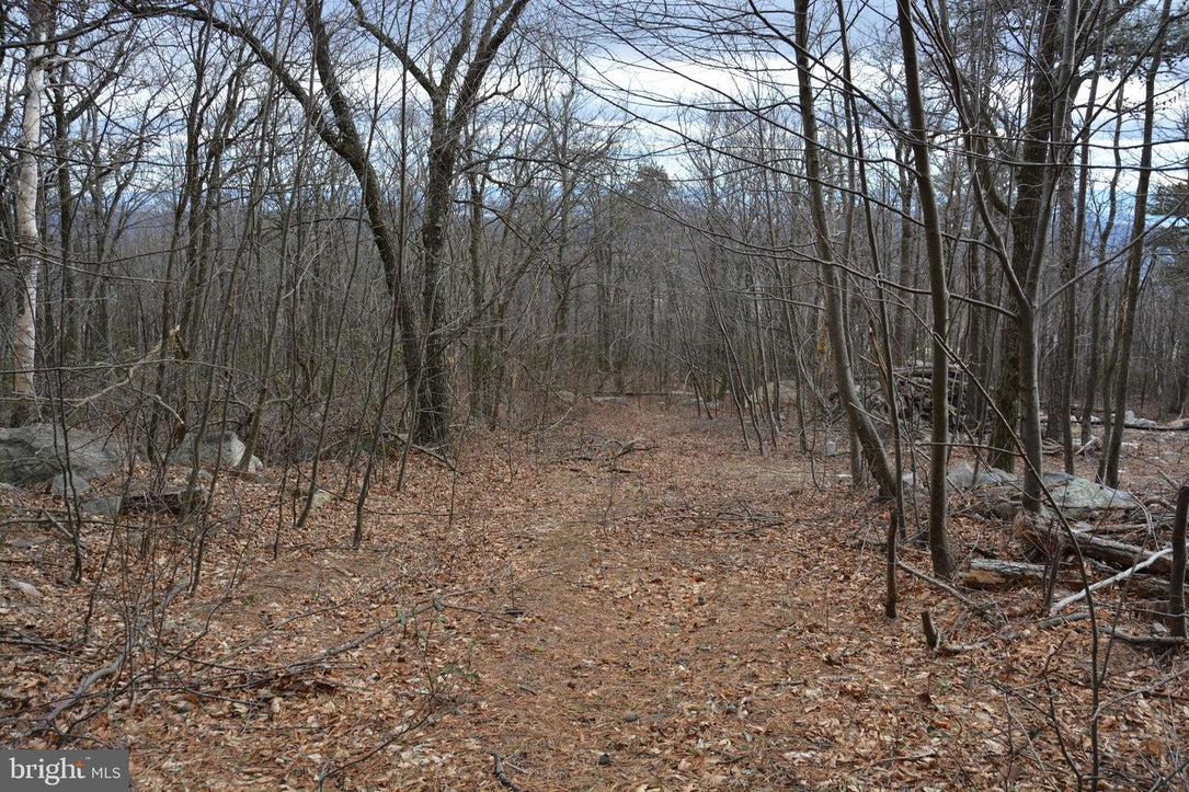 49.61 ACRES LAND ROCKWOOD TRAIL, WINCHESTER VA