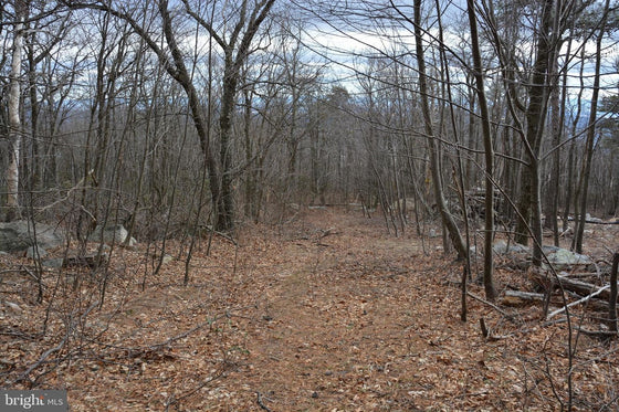 49.61 ACRES LAND ROCKWOOD TRAIL, WINCHESTER VA