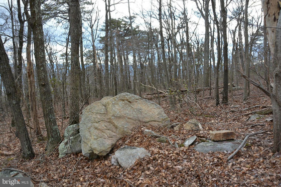 49.61 ACRES LAND ROCKWOOD TRAIL, WINCHESTER VA