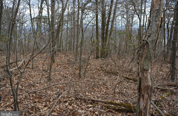 49.61 ACRES LAND ROCKWOOD TRAIL, WINCHESTER VA-5