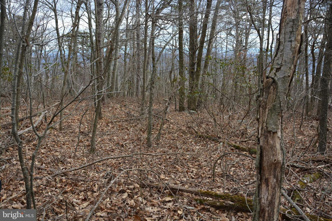 49.61 ACRES LAND ROCKWOOD TRAIL, WINCHESTER VA