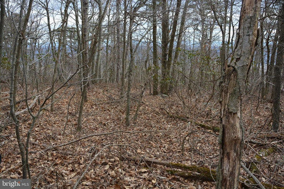 49.61 ACRES LAND ROCKWOOD TRAIL, WINCHESTER VA