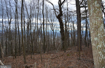 49.61 ACRES LAND ROCKWOOD TRAIL, WINCHESTER VA-6