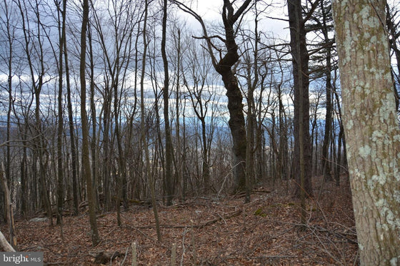 49.61 ACRES LAND ROCKWOOD TRAIL, WINCHESTER VA