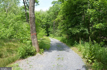 20 ACRES OF WOODED LAND IN FREDERICK COUNTY VA-1
