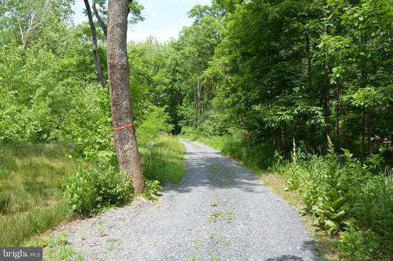 20 ACRES OF WOODED LAND IN FREDERICK COUNTY VA