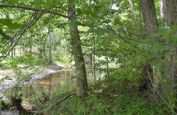 20 ACRES OF WOODED LAND IN FREDERICK COUNTY VA-10