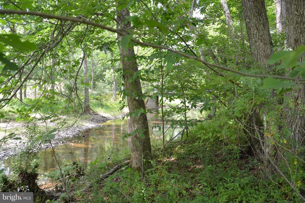 20 ACRES OF WOODED LAND IN FREDERICK COUNTY VA