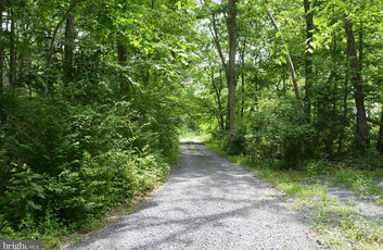 20 ACRES OF WOODED LAND IN FREDERICK COUNTY VA-11