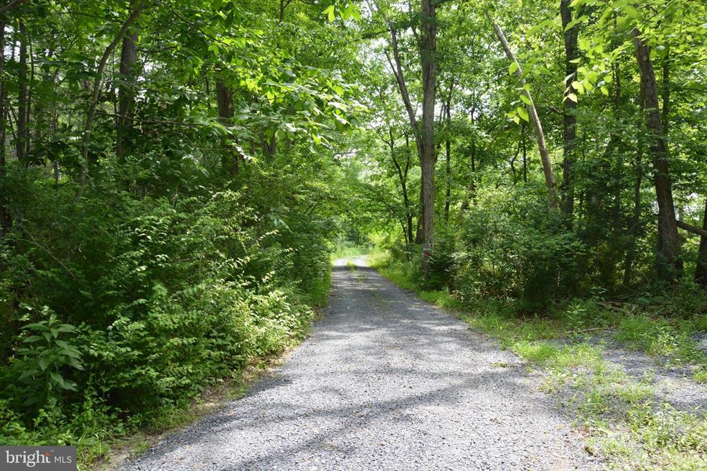 20 ACRES OF WOODED LAND IN FREDERICK COUNTY VA
