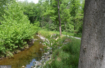20 ACRES OF WOODED LAND IN FREDERICK COUNTY VA-13