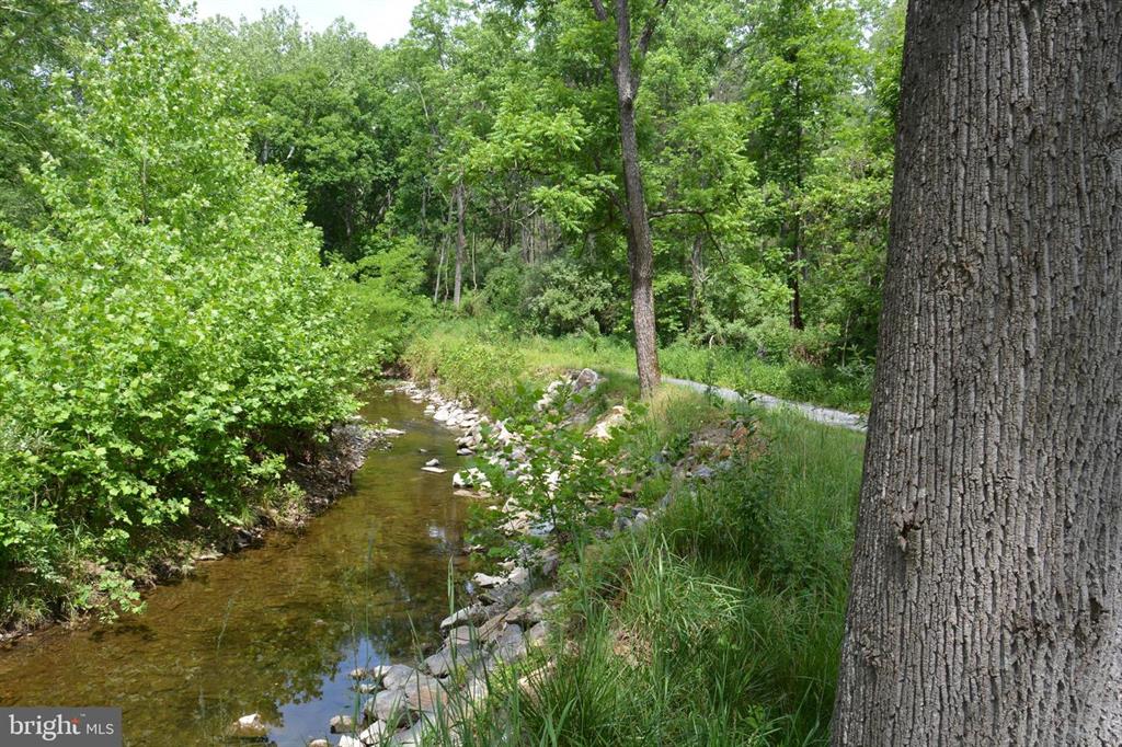 20 ACRES OF WOODED LAND IN FREDERICK COUNTY VA