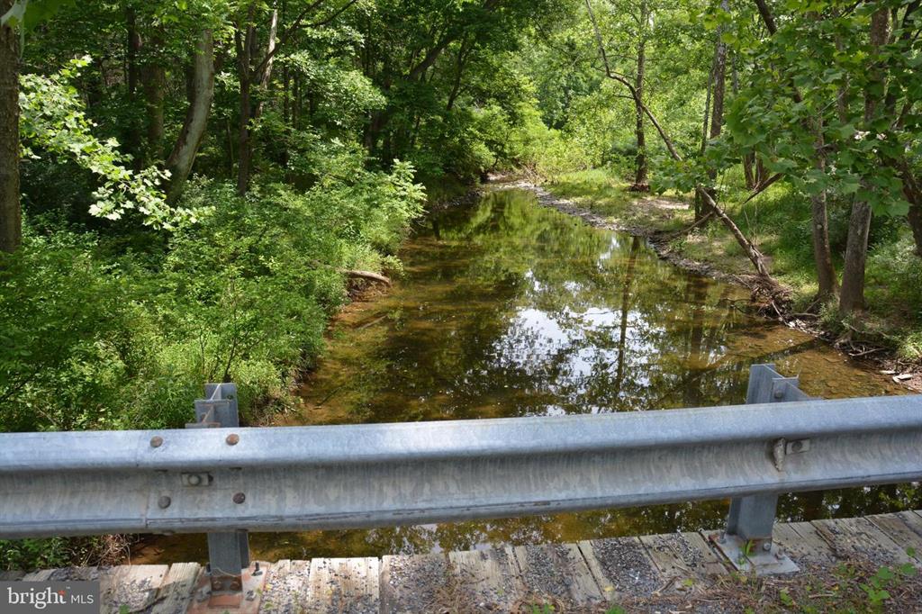 20 ACRES OF WOODED LAND IN FREDERICK COUNTY VA
