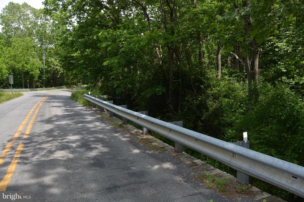 20 ACRES OF WOODED LAND IN FREDERICK COUNTY VA