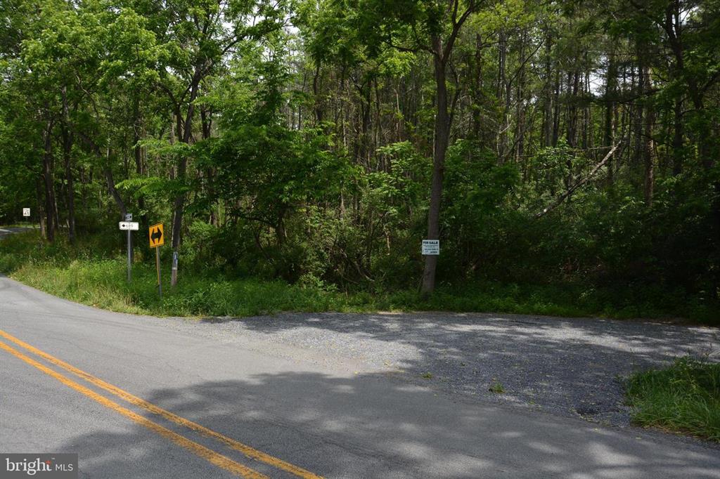 20 ACRES OF WOODED LAND IN FREDERICK COUNTY VA
