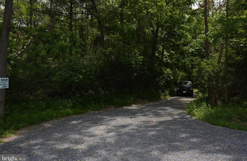 20 ACRES OF WOODED LAND IN FREDERICK COUNTY VA-17
