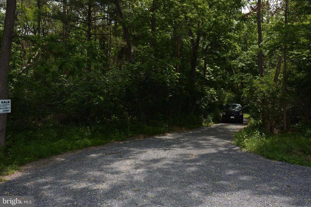20 ACRES OF WOODED LAND IN FREDERICK COUNTY VA