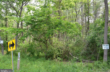 20 ACRES OF WOODED LAND IN FREDERICK COUNTY VA-18