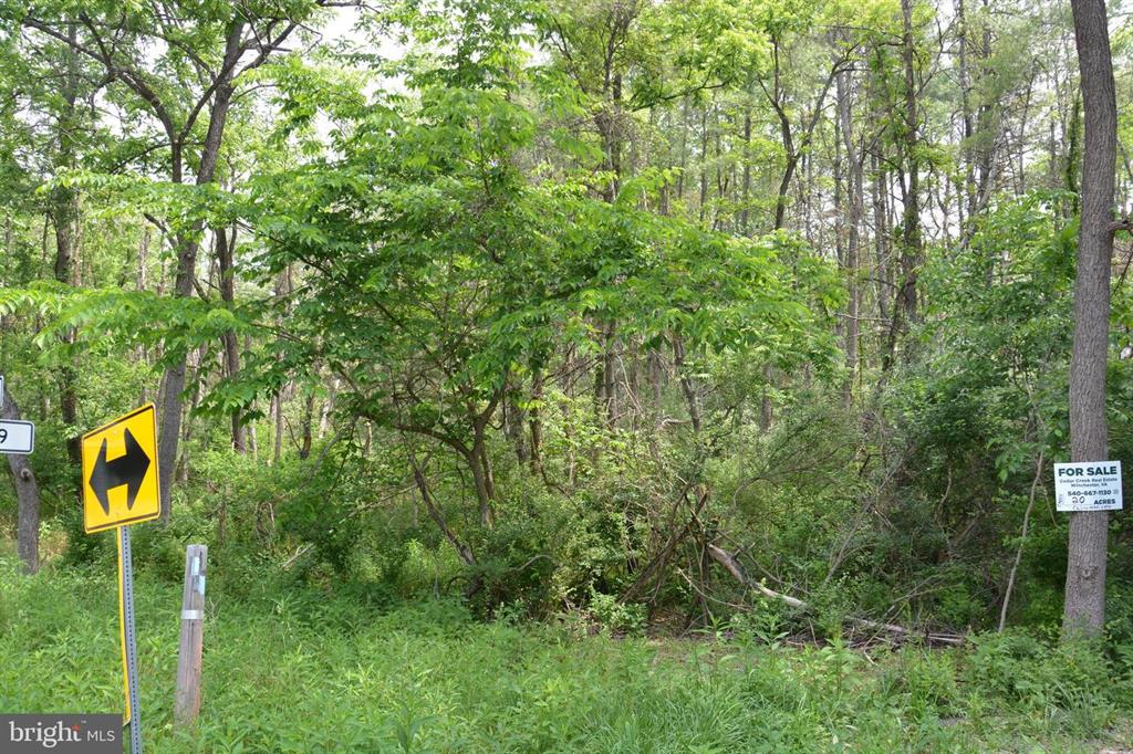 20 ACRES OF WOODED LAND IN FREDERICK COUNTY VA
