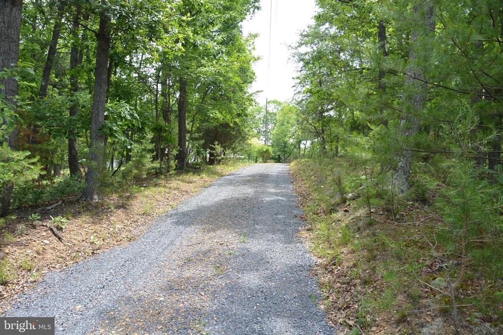 20 ACRES OF WOODED LAND IN FREDERICK COUNTY VA