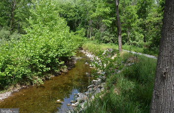 20 ACRES OF WOODED LAND IN FREDERICK COUNTY VA-2