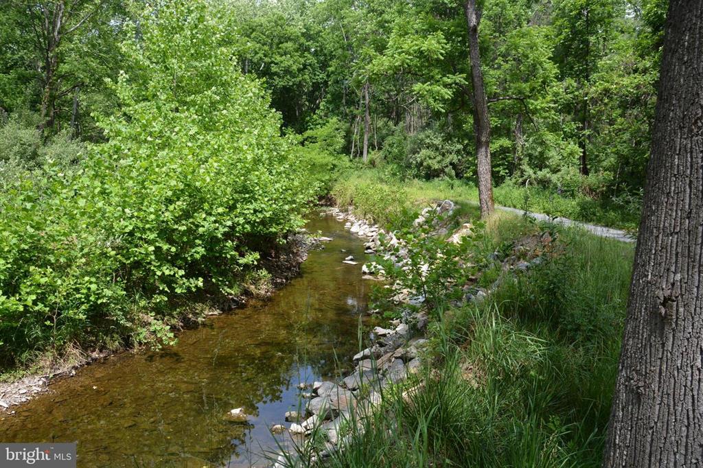 20 ACRES OF WOODED LAND IN FREDERICK COUNTY VA