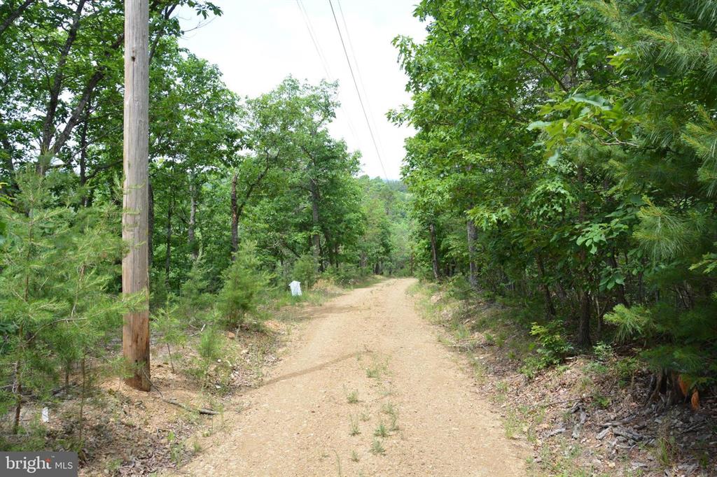 20 ACRES OF WOODED LAND IN FREDERICK COUNTY VA