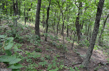 20 ACRES OF WOODED LAND IN FREDERICK COUNTY VA-23