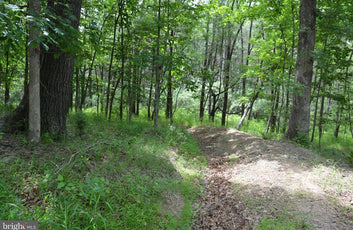 20 ACRES OF WOODED LAND IN FREDERICK COUNTY VA-24