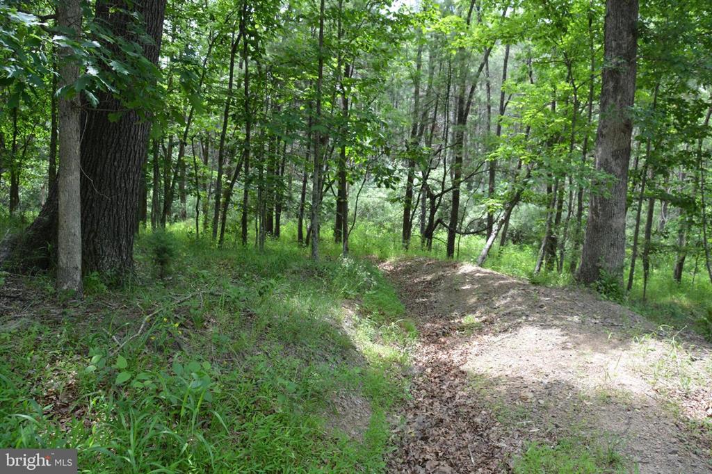 20 ACRES OF WOODED LAND IN FREDERICK COUNTY VA