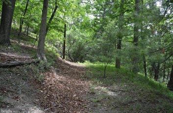 20 ACRES OF WOODED LAND IN FREDERICK COUNTY VA-26