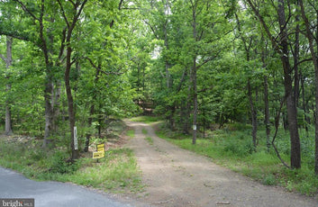 20 ACRES OF WOODED LAND IN FREDERICK COUNTY VA-36