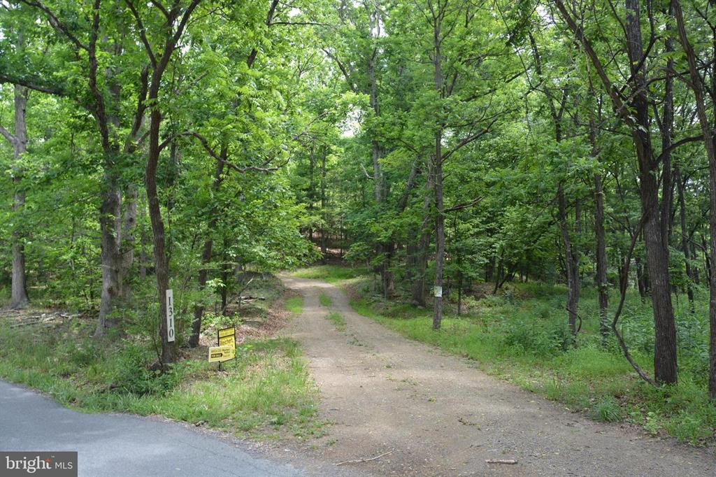20 ACRES OF WOODED LAND IN FREDERICK COUNTY VA